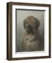 Head of a Newfoundland Dog, C. 1860-1920-Otto Eerelman-Framed Art Print