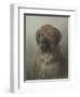 Head of a Newfoundland Dog, C. 1860-1920-Otto Eerelman-Framed Art Print