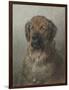 Head of a Newfoundland Dog, C. 1860-1920-Otto Eerelman-Framed Art Print