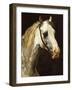 Head of a Piebald Horse-Théodore Géricault-Framed Giclee Print