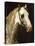 Head of a Piebald Horse-Théodore Géricault-Stretched Canvas