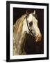 Head of a Piebald Horse-Théodore Géricault-Framed Giclee Print