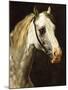 Head of a Piebald Horse-Théodore Géricault-Mounted Giclee Print