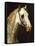 Head of a Piebald Horse-Théodore Géricault-Framed Stretched Canvas