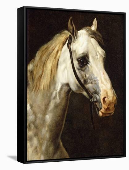 Head of a Piebald Horse-Théodore Géricault-Framed Stretched Canvas