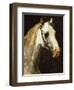 Head of a Piebald Horse-Théodore Géricault-Framed Giclee Print