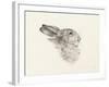 Head Of A Rabbit-Jean Bernard-Framed Art Print