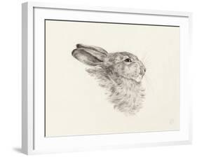 Head Of A Rabbit-Jean Bernard-Framed Art Print