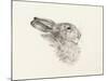 Head Of A Rabbit-Jean Bernard-Mounted Art Print