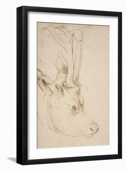 Head of a Roebuck, 1503-Albrecht Dürer-Framed Giclee Print