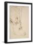 Head of a Roebuck, 1503-Albrecht Dürer-Framed Giclee Print