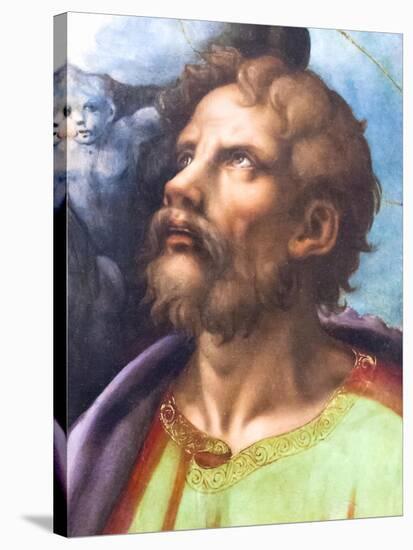 Head of a Saint-Giulio Romano-Stretched Canvas