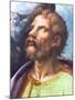 Head of a Saint-Giulio Romano-Mounted Giclee Print