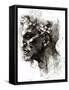 Head of a Satyr-Michelangelo Buonarroti-Framed Stretched Canvas