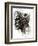 Head of a Satyr-Michelangelo Buonarroti-Framed Giclee Print