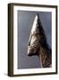 Head of a Viking Warrior, C9th-11th Century-null-Framed Photographic Print
