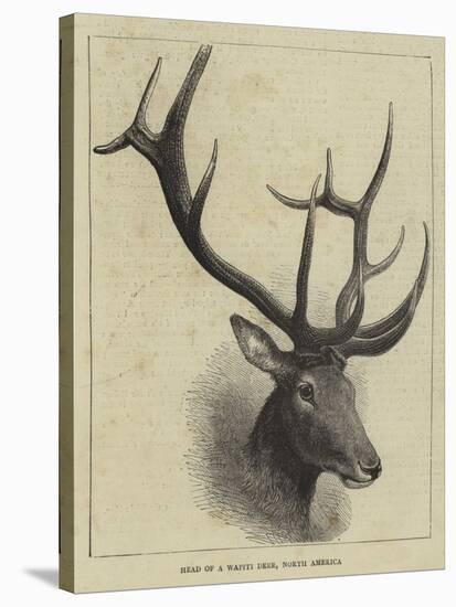 Head of a Wapiti Deer, North America-null-Stretched Canvas