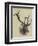 Head of a Wapiti Deer, North America-null-Framed Premium Giclee Print