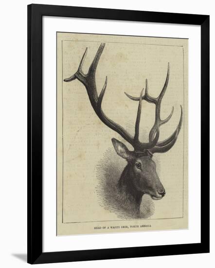 Head of a Wapiti Deer, North America-null-Framed Giclee Print