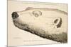 Head of a White Bear, Illustration from 'A Voyage of Discovery...', 1819-Andrew Motz Skene-Mounted Giclee Print