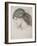 Head of a Woman, 1861-Dante Gabriel Rossetti-Framed Giclee Print