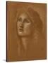 Head of a Woman, 1890-Edward Burne-Jones-Stretched Canvas