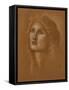 Head of a Woman, 1890-Edward Burne-Jones-Framed Stretched Canvas