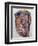 Head of a Woman, 1992-Stephen Finer-Framed Giclee Print