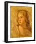 Head of a Woman, C.1782-86 (Oil on Canvas)-George Romney-Framed Giclee Print