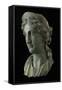 Head of a Woman in the Guise of a Goddess, 1St Century (Copper Alloy and Silver)-Roman-Framed Stretched Canvas