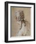 Head of a Woman Seen from Behind, circa 1740-Francois Boucher-Framed Giclee Print