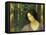 Head of a Woman, Tete de Femme-Henri Martin-Framed Stretched Canvas