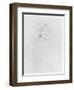 Head of a Woman (Verso) (See 383972 Recto) 1893 ? (Pencil on Paper)-Berthe Morisot-Framed Giclee Print
