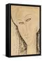 Head of a Woman-Amedeo Modigliani-Framed Stretched Canvas
