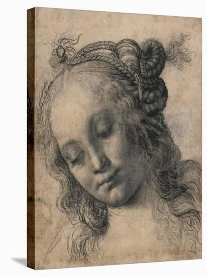 Head of a Woman-Andrea Verrocchio-Stretched Canvas