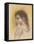 Head of a Young Girl in Profile; Tete De Jeune Fille En Profil-Pierre-Auguste Renoir-Framed Stretched Canvas