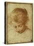 Head of a Young Girl Looking Downwards-Annibale Carracci-Stretched Canvas