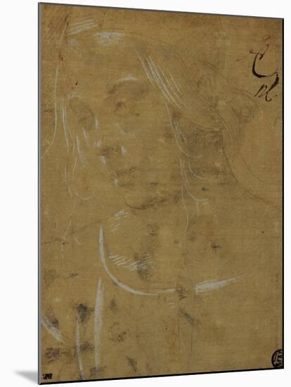 Head of a Young Girl, Three Quarters Towards the Left-Lorenzo di Credi-Mounted Giclee Print