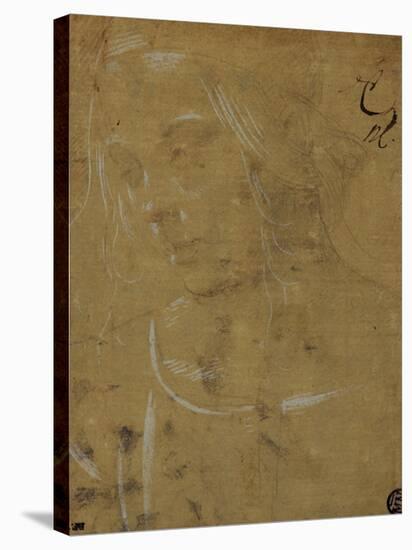 Head of a Young Girl, Three Quarters Towards the Left-Lorenzo di Credi-Stretched Canvas
