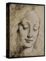 Head of a Young Girl-Leonardo da Vinci-Stretched Canvas