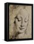 Head of a Young Girl-Leonardo da Vinci-Framed Stretched Canvas