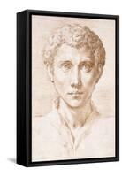 Head of a Young Man Looking Up-Parmigianino-Framed Stretched Canvas