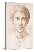 Head of a Young Man Looking Up-Parmigianino-Stretched Canvas