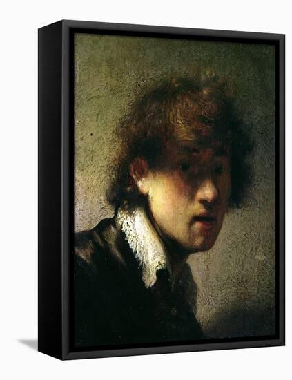 Head of a Young Man or Self Portrait, 1629-Rembrandt van Rijn-Framed Stretched Canvas