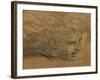 Head of a Young Man, Three Quarters Towards the Right-Raphael-Framed Giclee Print