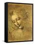 Head of a Young Woman La Scapigliata (the Lady of the Disheveled Hair)-Leonardo da Vinci-Framed Stretched Canvas