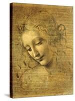 Head of a Young Woman La Scapigliata (the Lady of the Disheveled Hair)-Leonardo da Vinci-Stretched Canvas