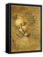 Head of a Young Woman La Scapigliata (the Lady of the Disheveled Hair)-Leonardo da Vinci-Framed Stretched Canvas