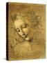 Head of a Young Woman La Scapigliata (the Lady of the Disheveled Hair)-Leonardo da Vinci-Stretched Canvas
