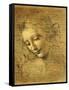 Head of a Young Woman La Scapigliata (the Lady of the Disheveled Hair)-Leonardo da Vinci-Framed Stretched Canvas